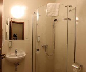 Dvojlôžková izba Deluxe so sprchovacím kútom